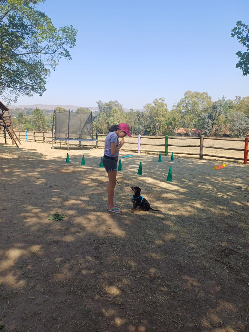 WhatsApp Image 2024-10-14 at 14.33.41 (1)