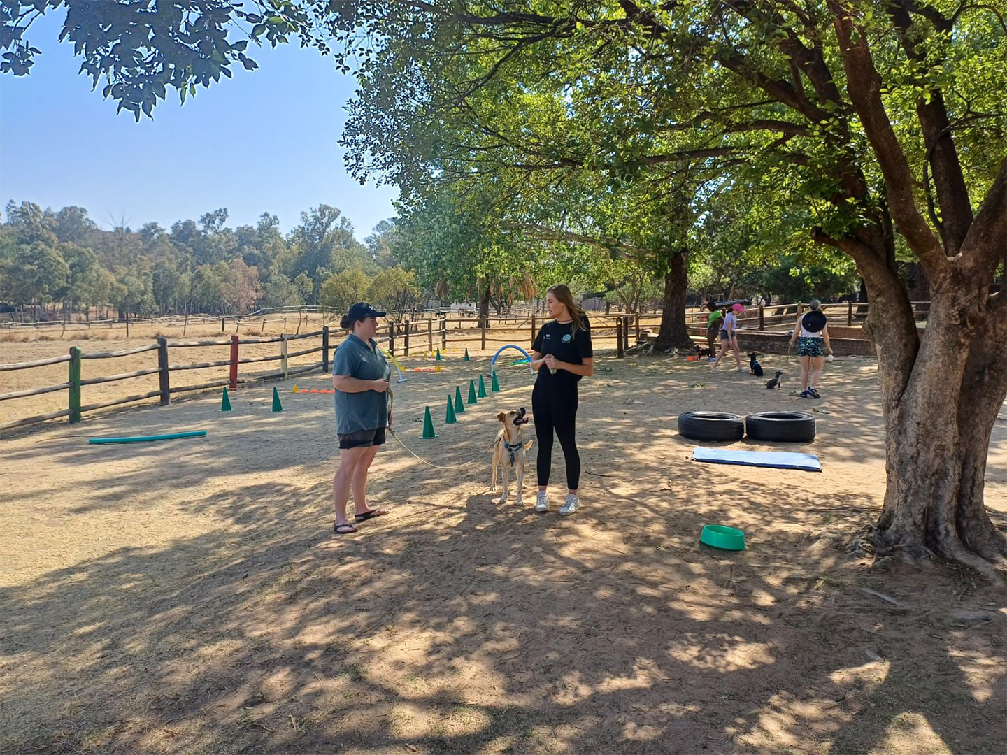 WhatsApp Image 2024-10-14 at 14.33.42 (1)