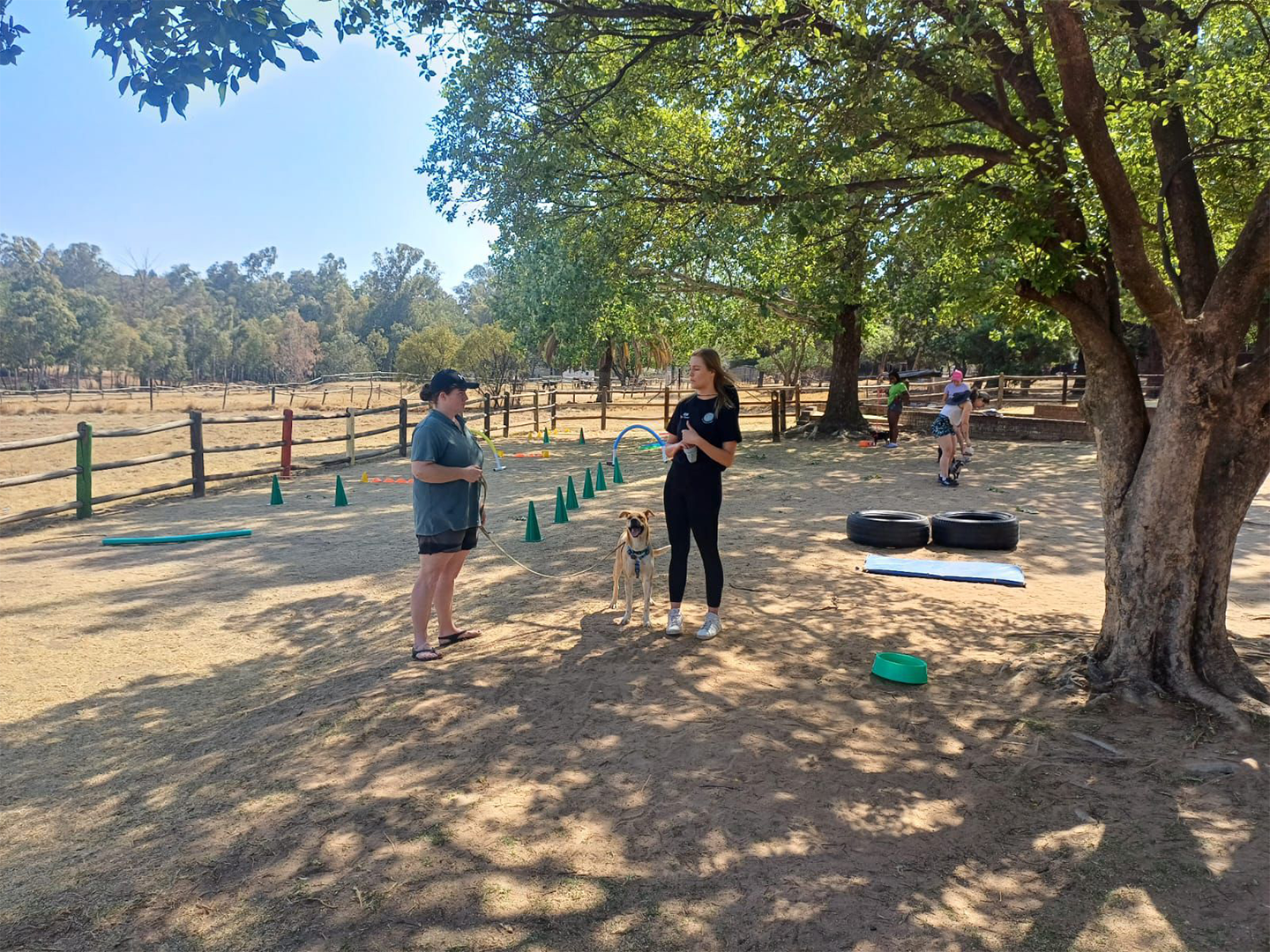 WhatsApp Image 2024-10-14 at 14.33.42 (2)