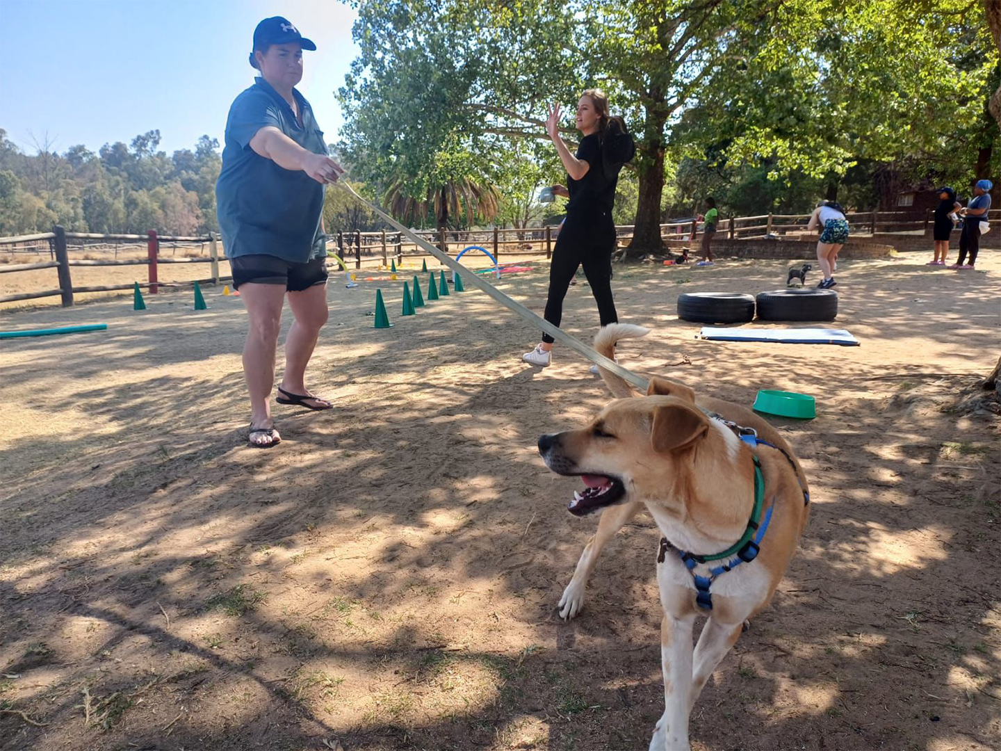 WhatsApp Image 2024-10-14 at 14.33.42