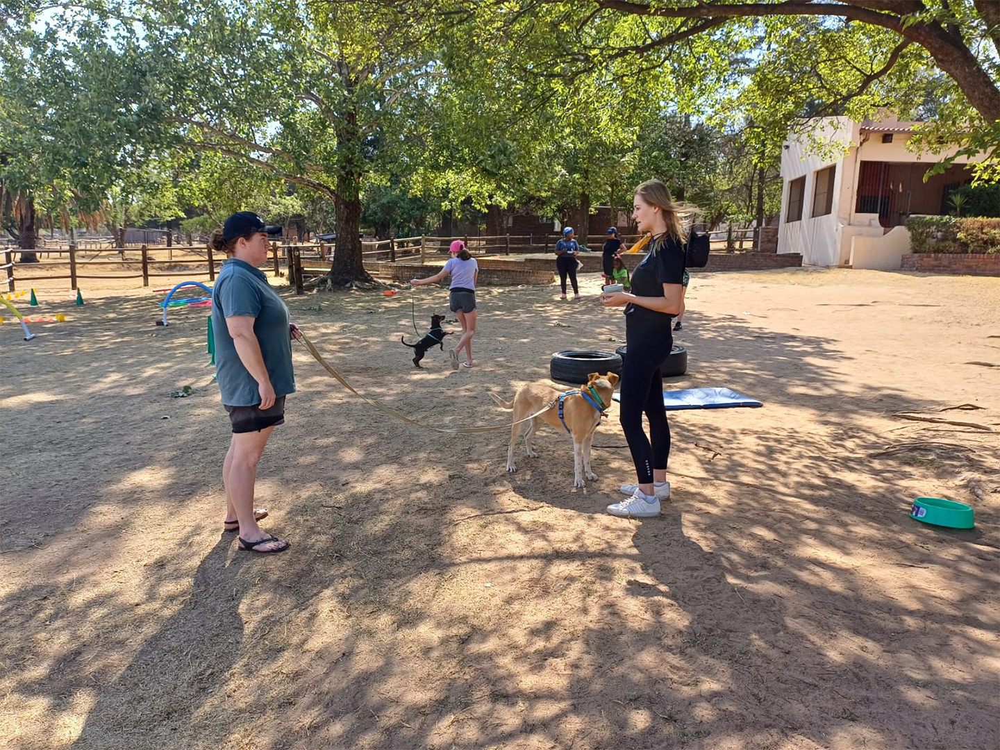 WhatsApp Image 2024-10-14 at 14.33.43 (1)