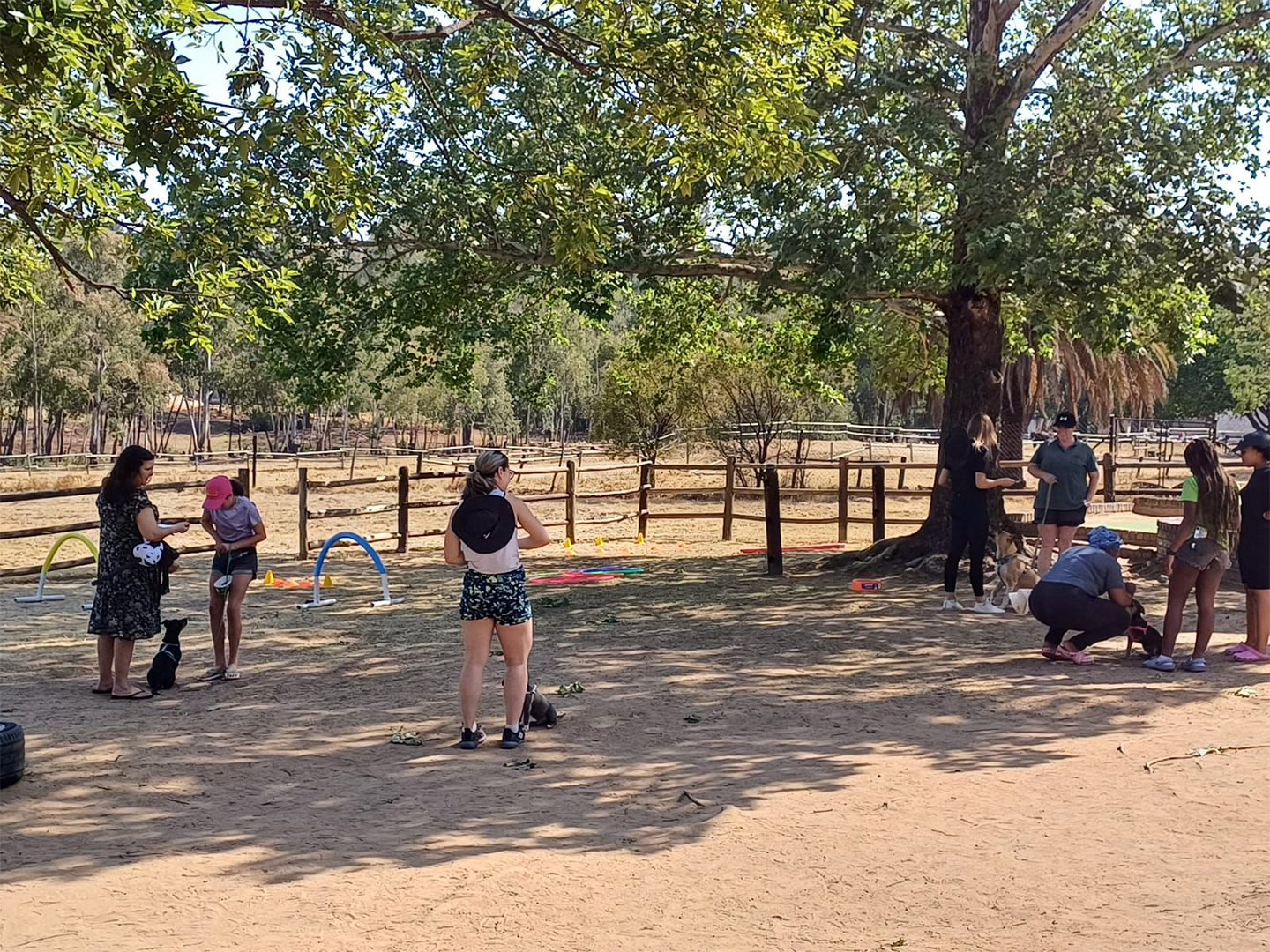 WhatsApp Image 2024-10-14 at 14.33.43 (2)