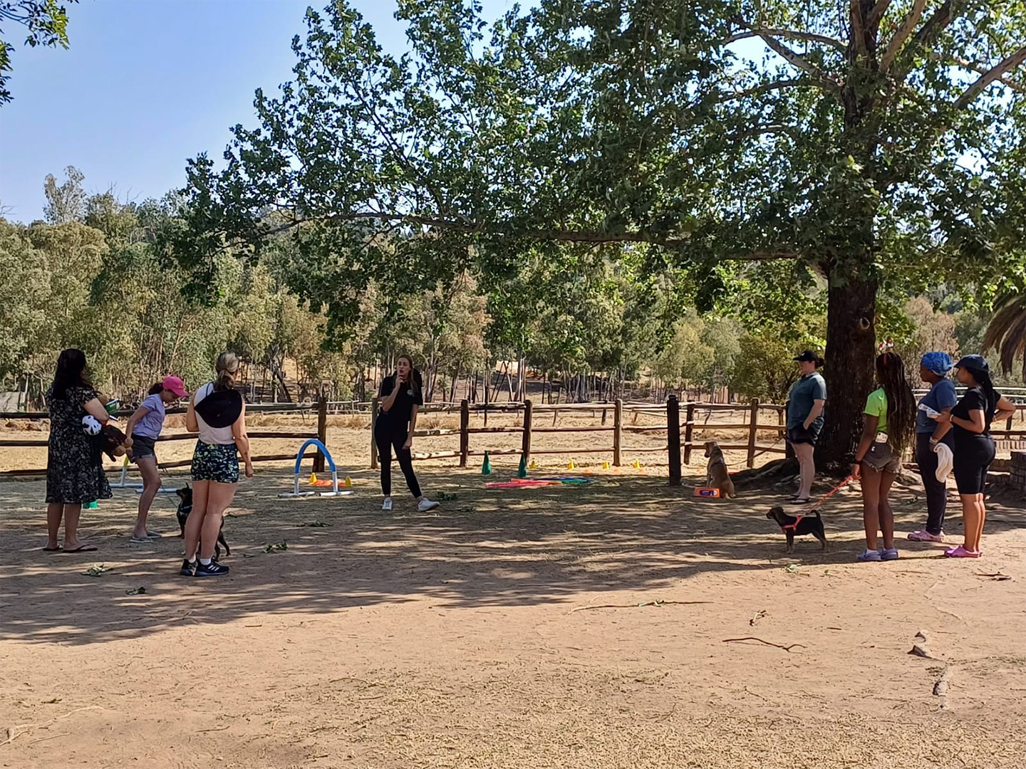 WhatsApp Image 2024-10-14 at 14.33.43 (3)