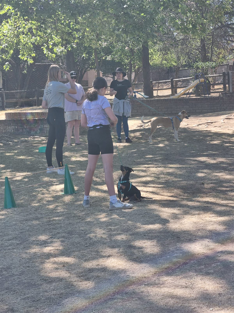 WhatsApp Image 2024-10-14 at 14.33.46 (1)