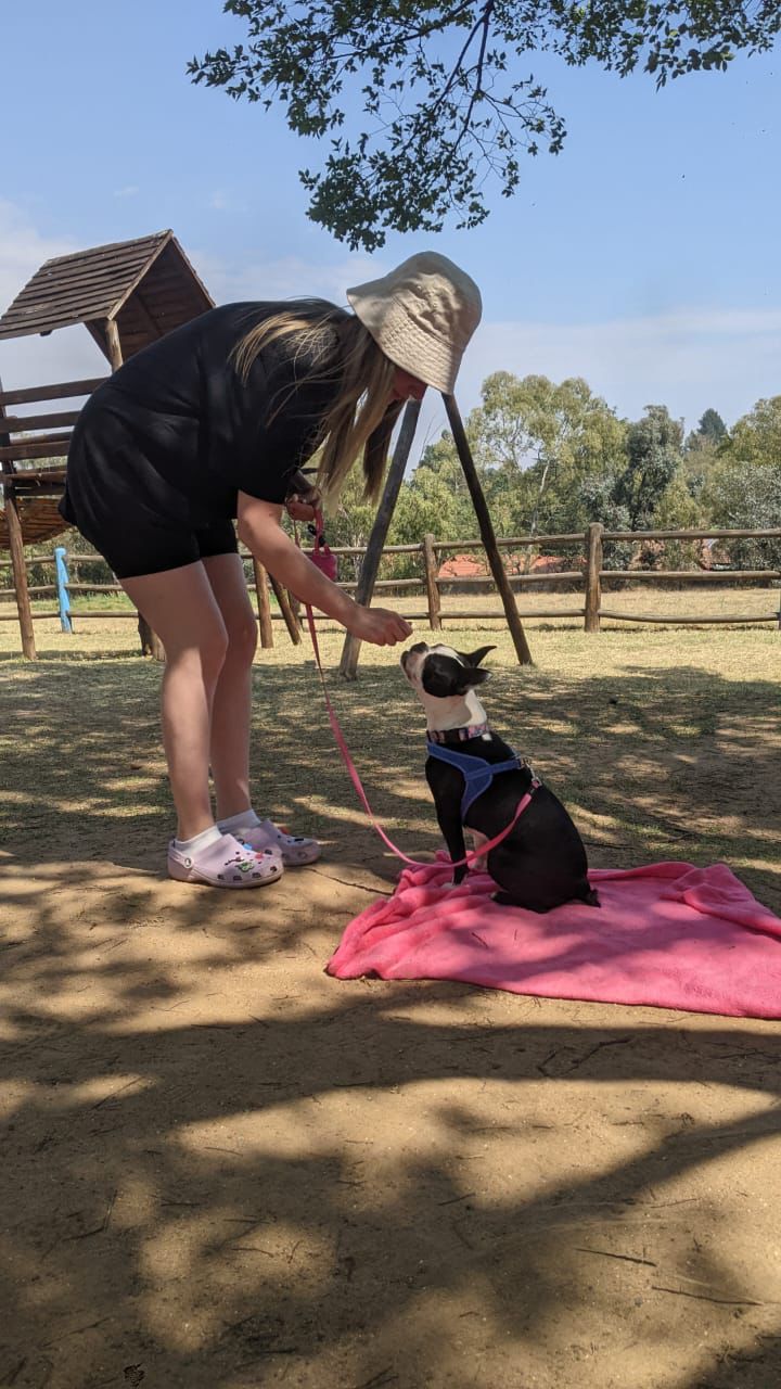 WhatsApp Image 2024-10-25 at 19.07.52