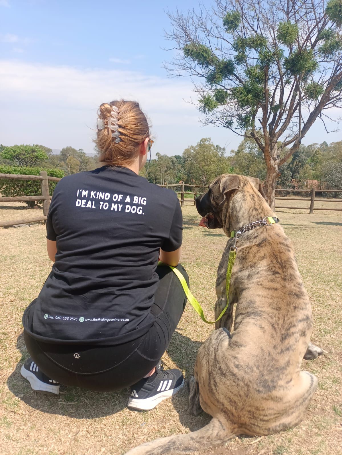 WhatsApp Image 2024-10-25 at 19.08.06