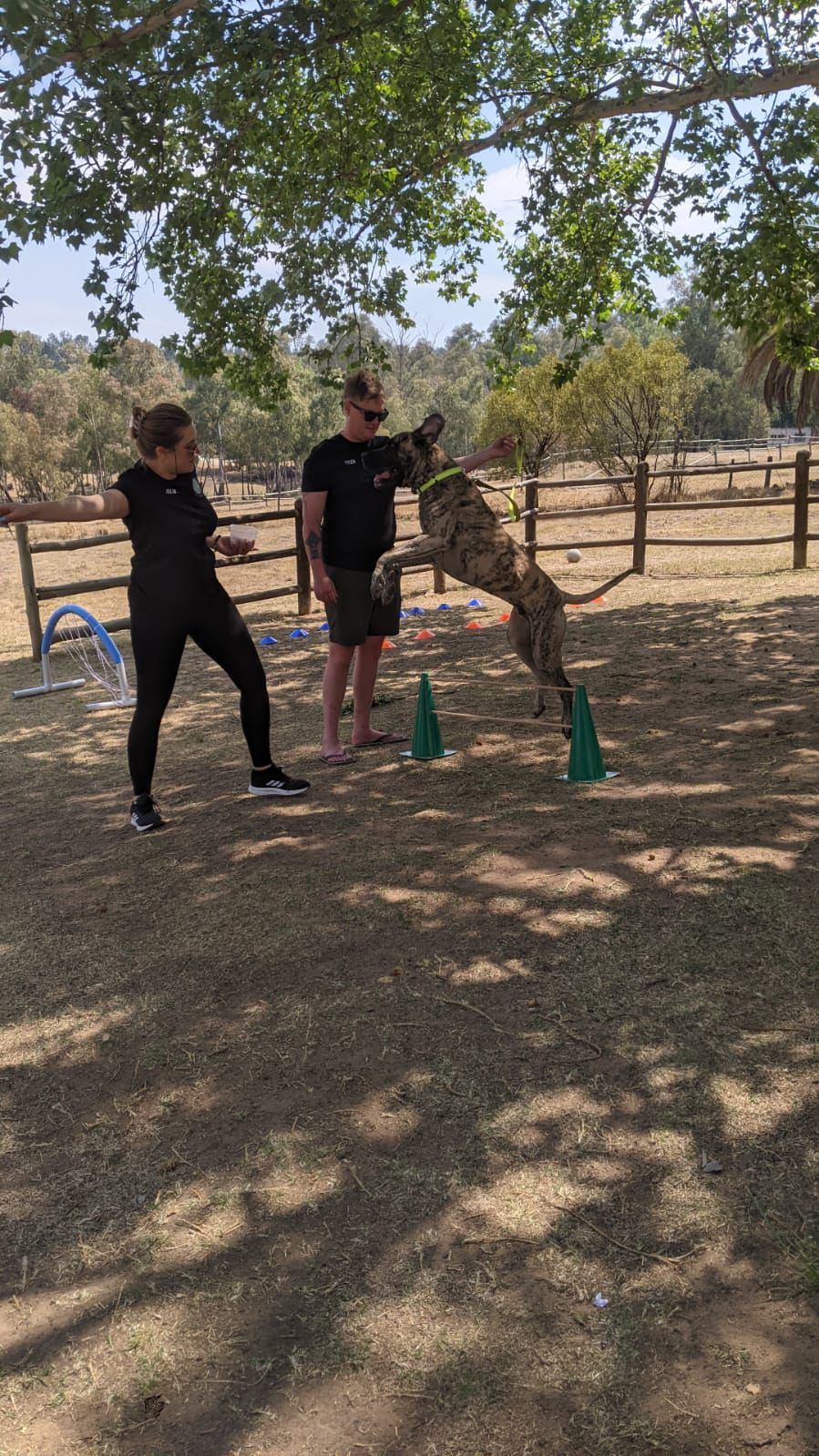 WhatsApp Image 2024-10-25 at 19.08.20