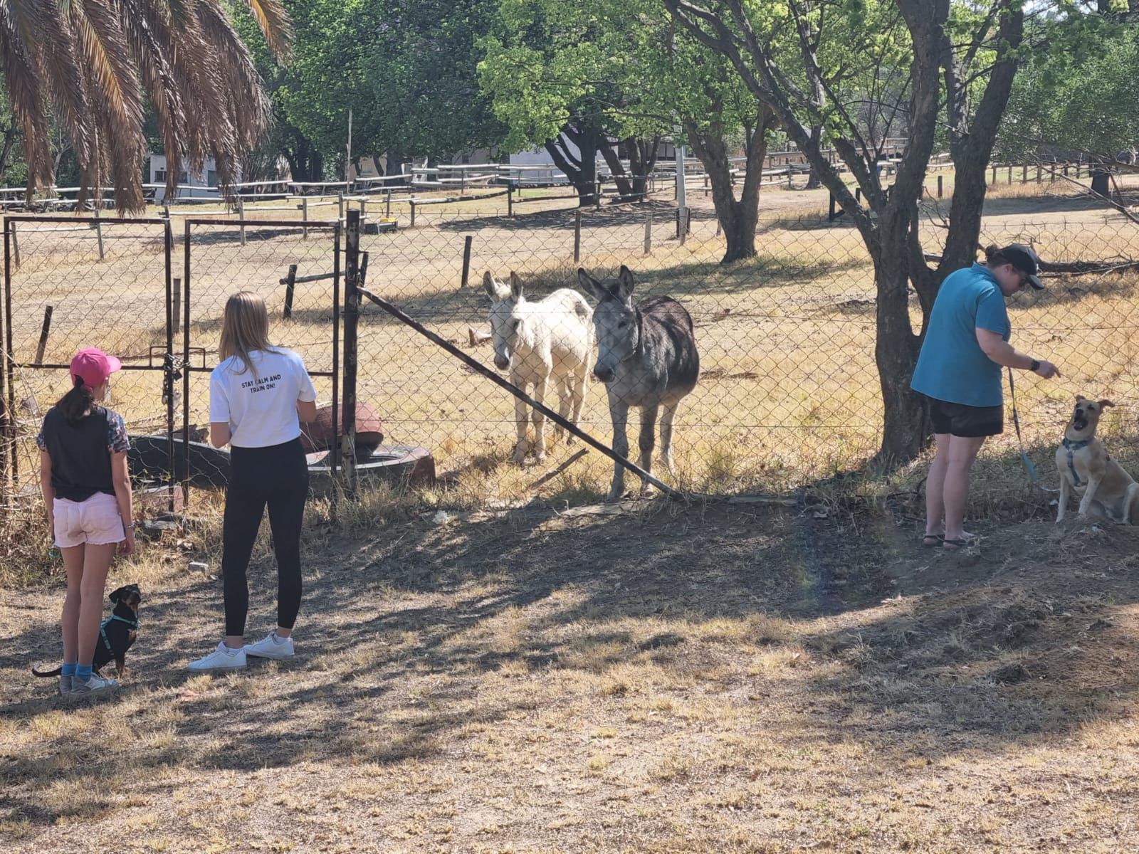 WhatsApp Image 2024-10-25 at 19.09.05