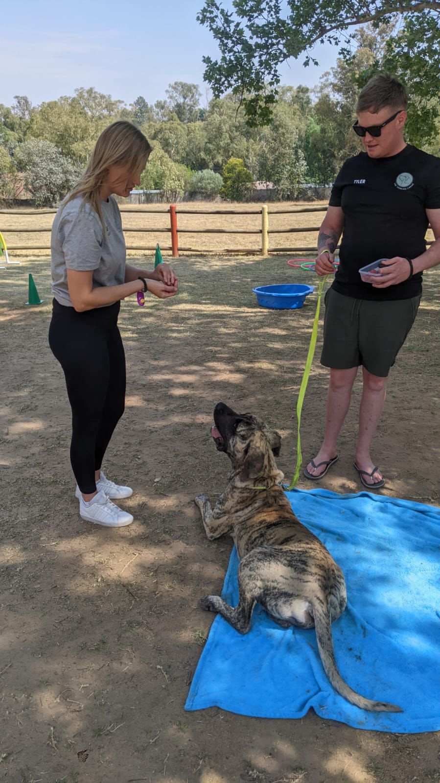 WhatsApp Image 2024-10-25 at 19.10.56