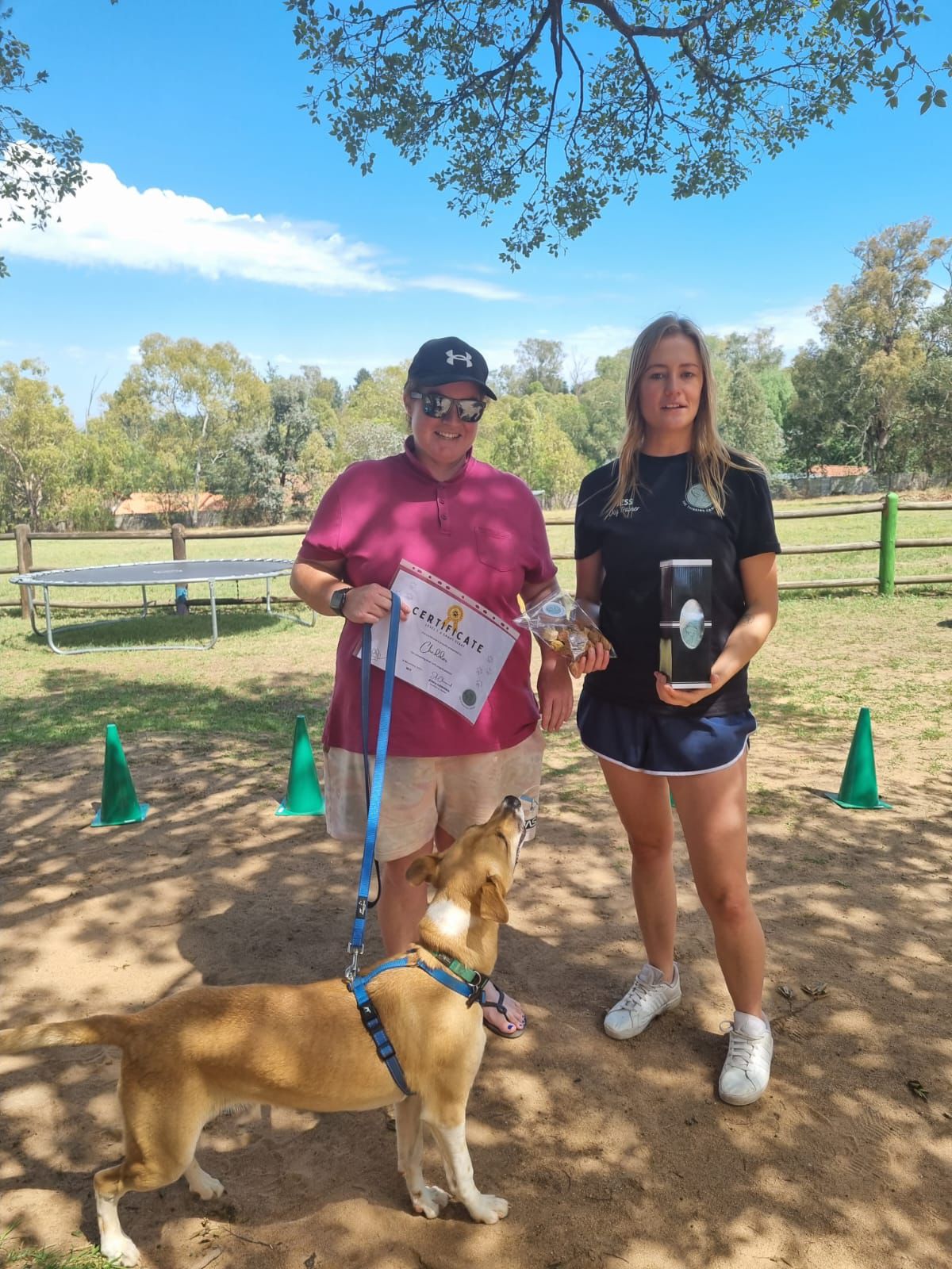 The Thinking Canine - Adult Dog & Puppy Training School | Classes in Johannesburg