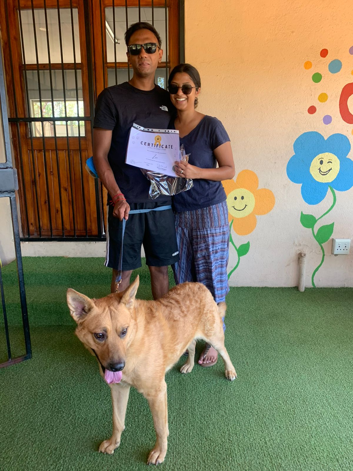 The Thinking Canine - Adult Dog & Puppy Training School | Classes in Johannesburg