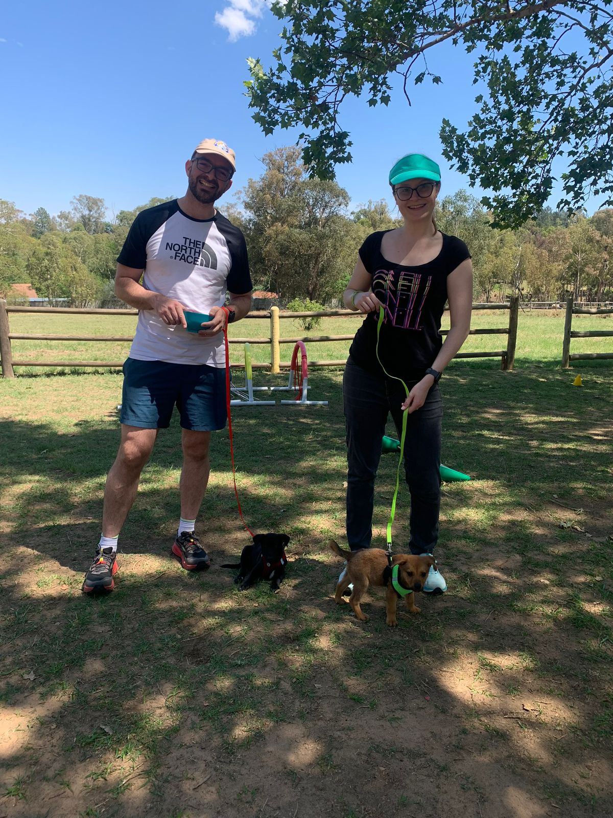 The Thinking Canine - Adult Dog & Puppy Training School | Classes in Johannesburg