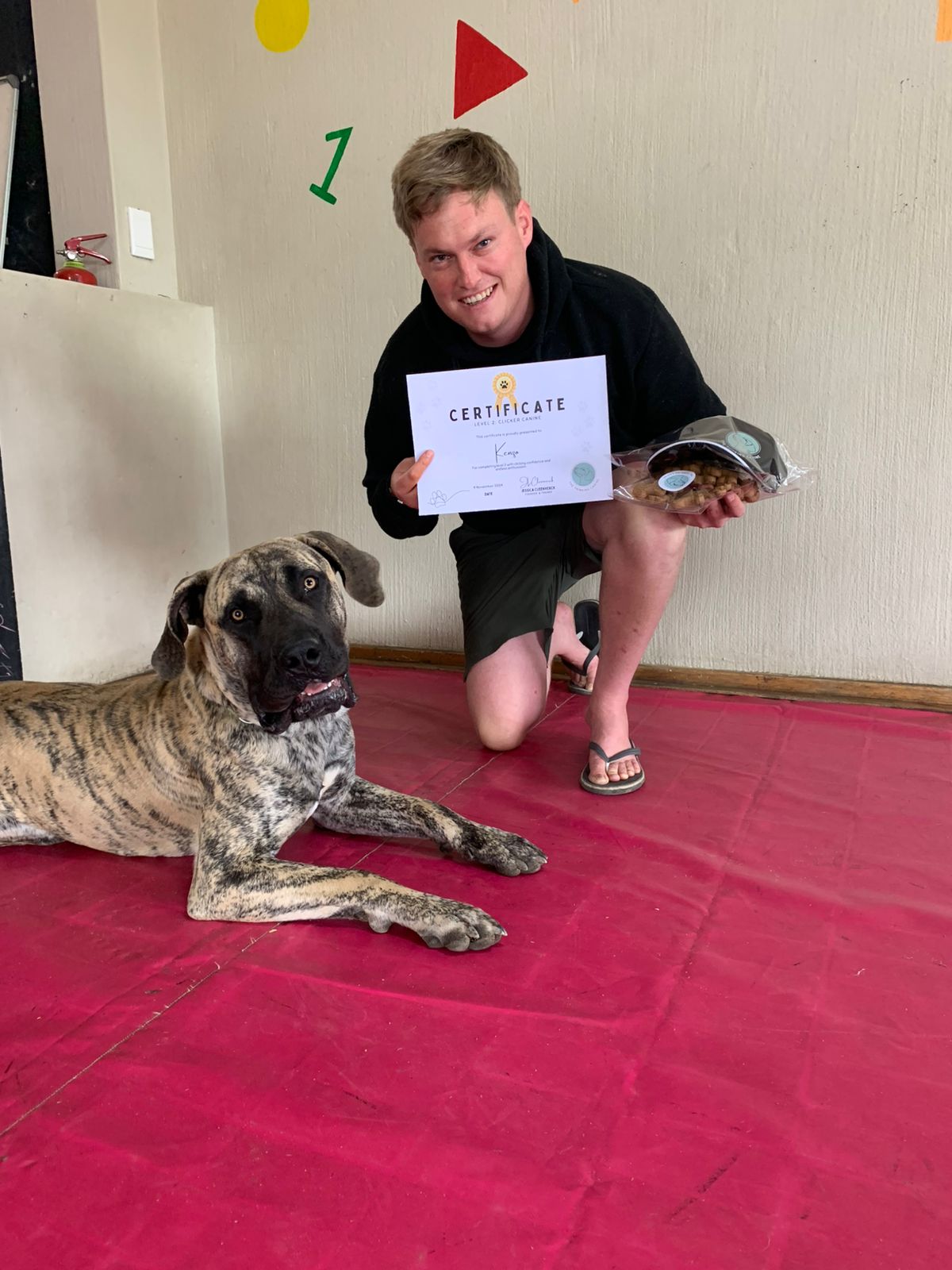 The Thinking Canine - Adult Dog & Puppy Training School | Classes in Johannesburg