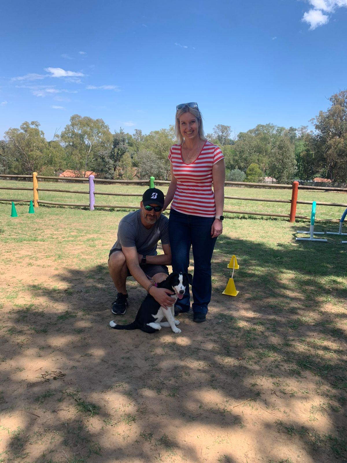 The Thinking Canine - Adult Dog & Puppy Training School | Classes in Johannesburg