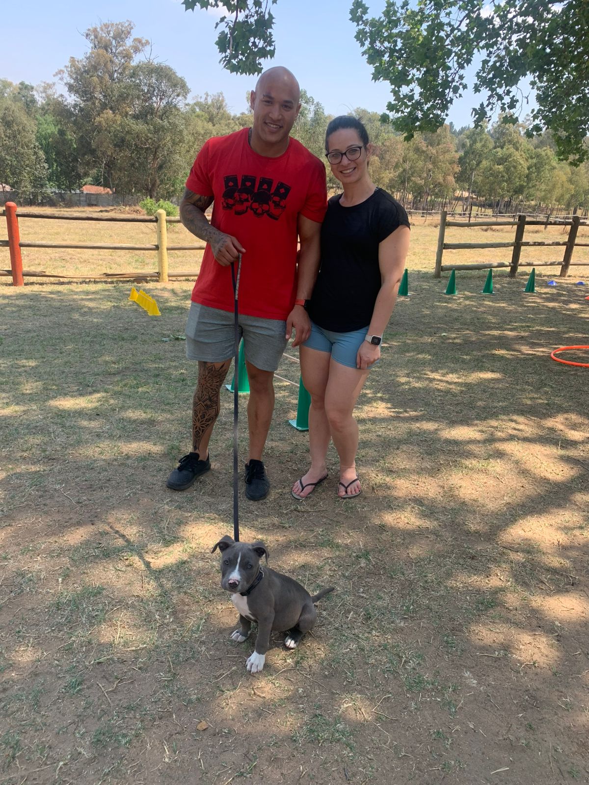 The Thinking Canine - Adult Dog & Puppy Training School | Classes in Johannesburg