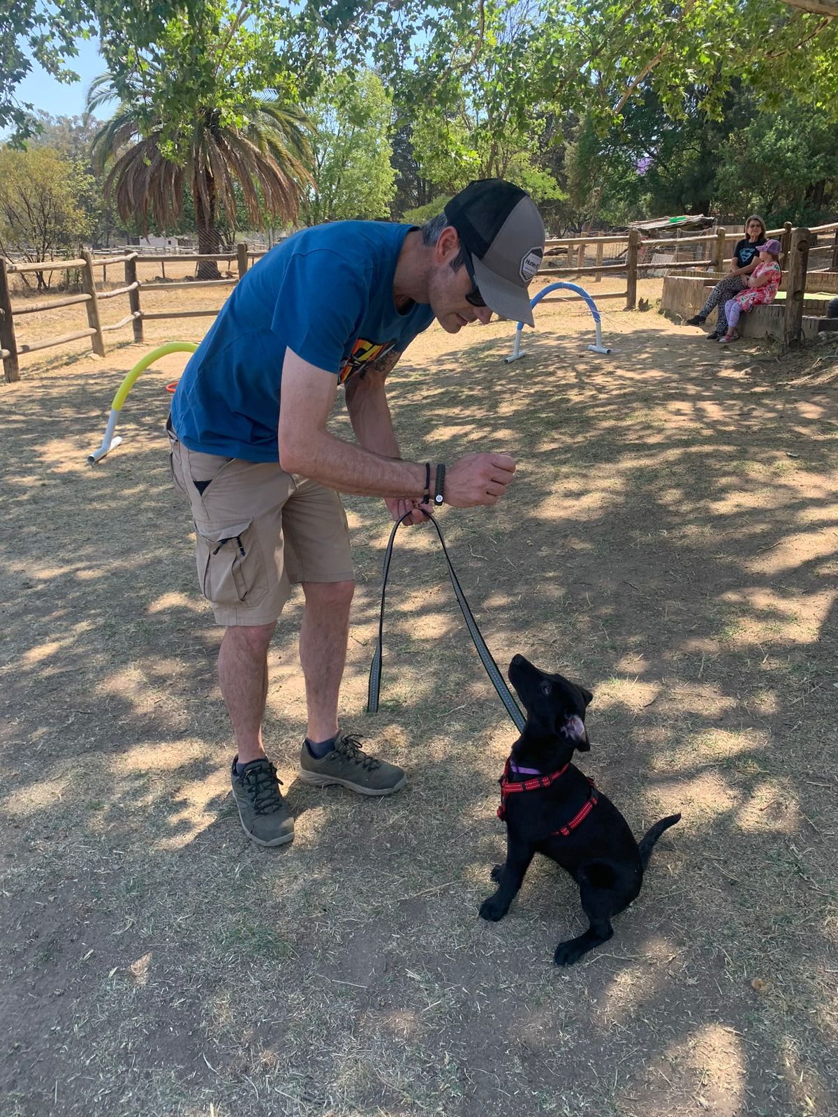 The Thinking Canine - Adult Dog & Puppy Training School | Classes in Johannesburg