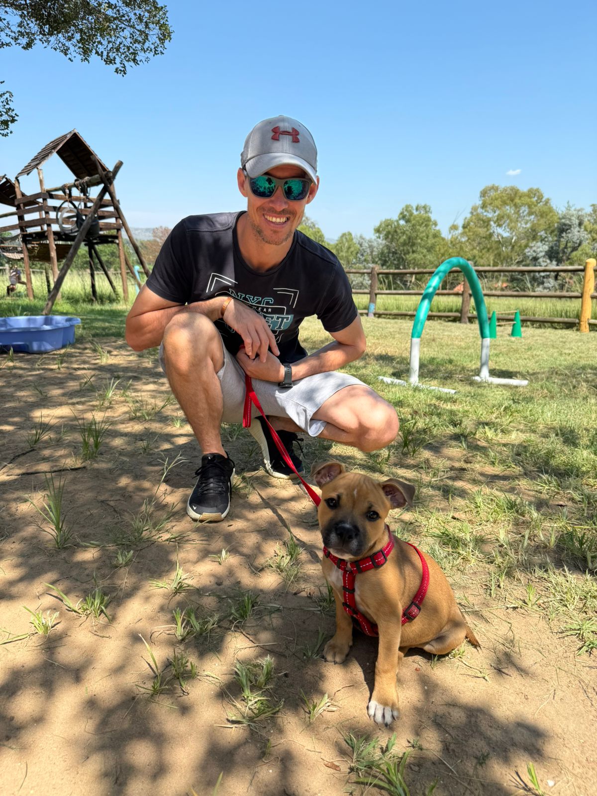 The Thinking Canine - Adult Dog & Puppy Training School | Classes in Johannesburg