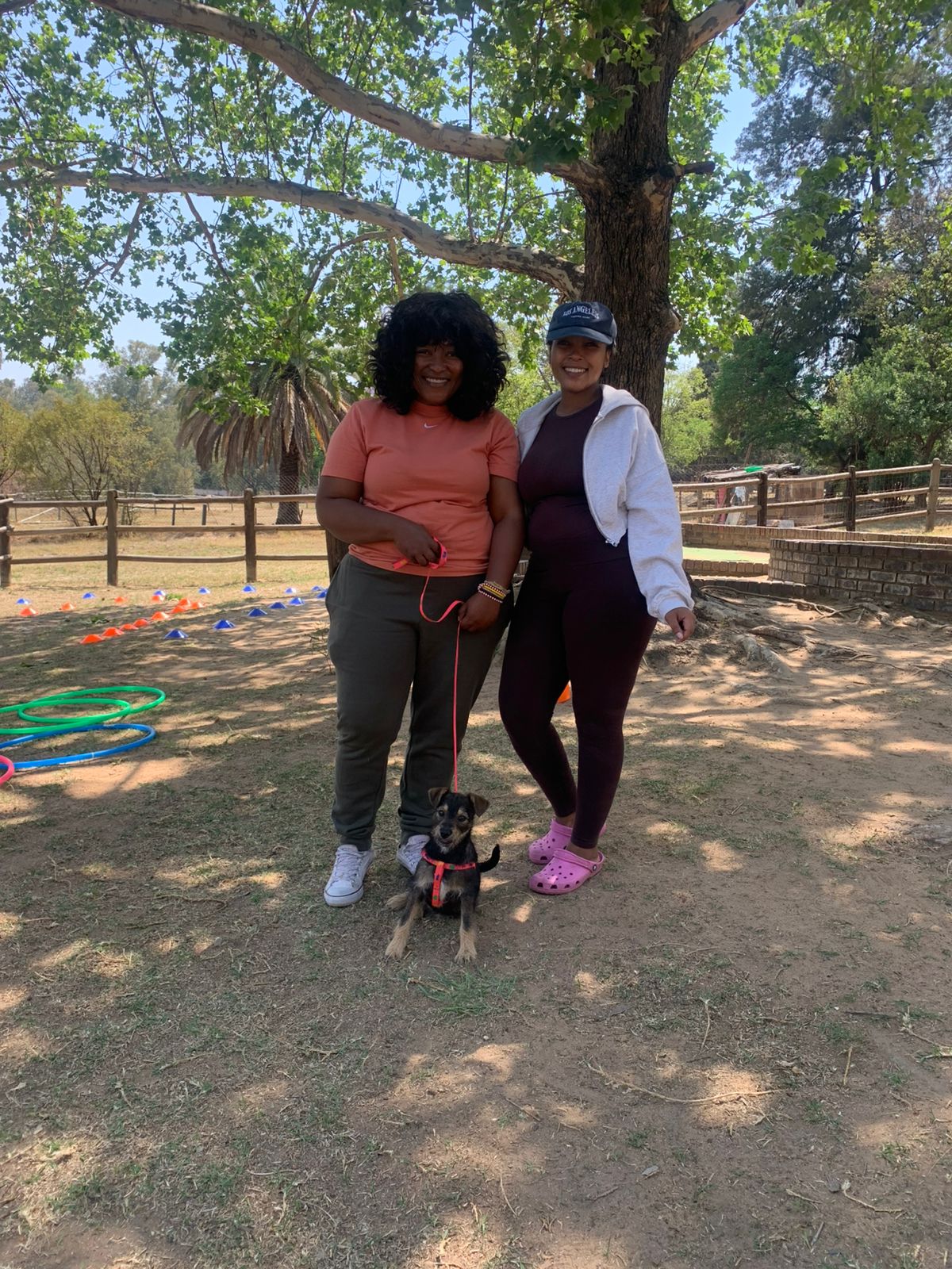 The Thinking Canine - Adult Dog & Puppy Training School | Classes in Johannesburg