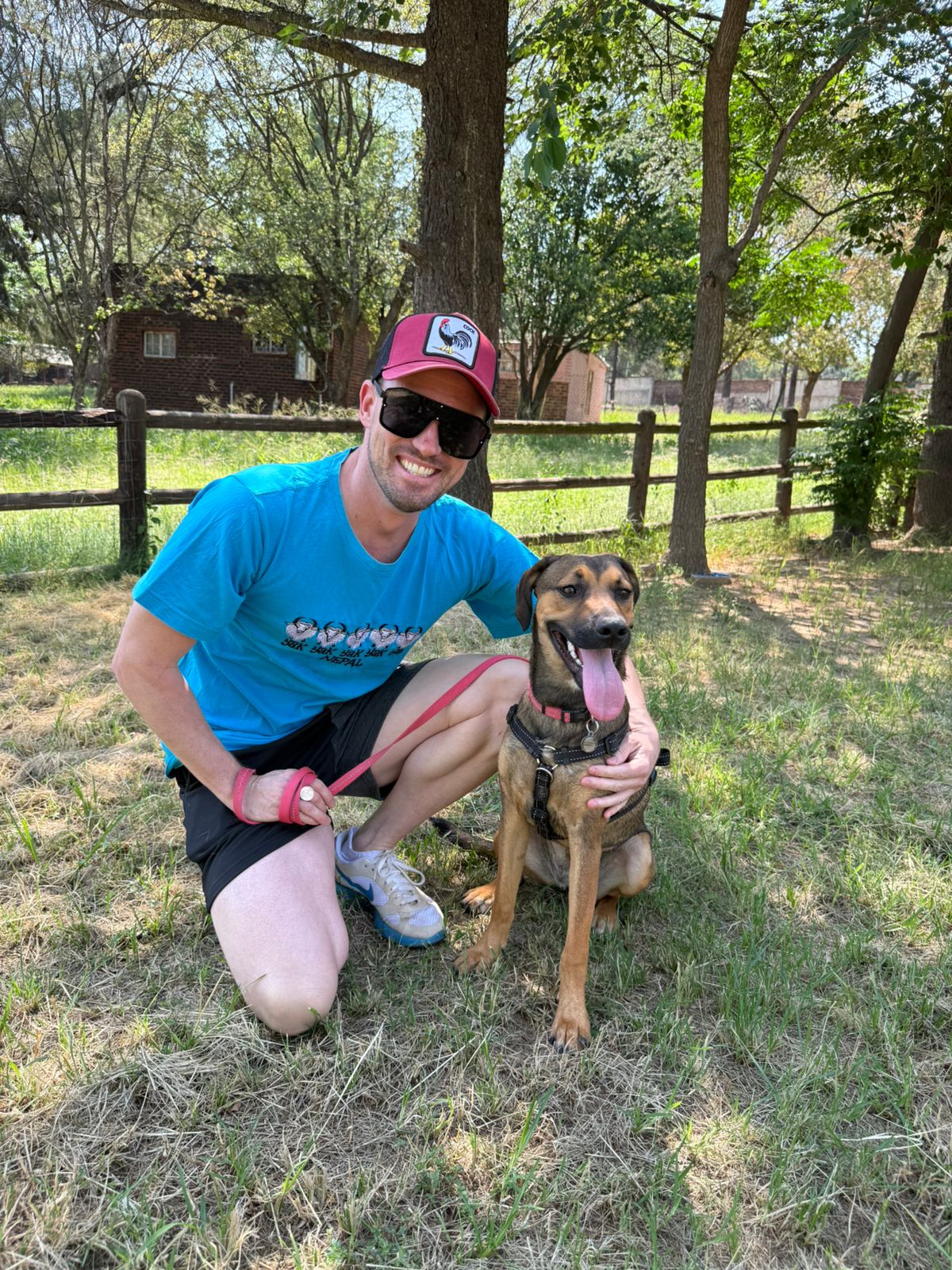 The Thinking Canine - Adult Dog & Puppy Training School | Classes in Johannesburg