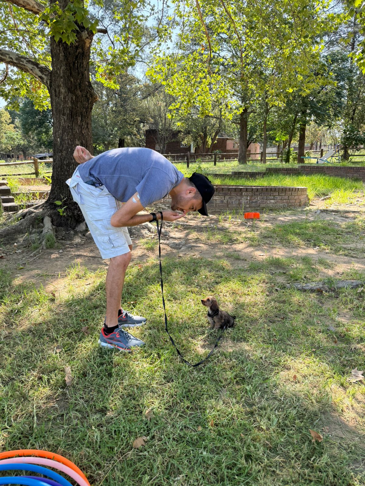 The Thinking Canine - Adult Dog & Puppy Training School | Classes in Johannesburg