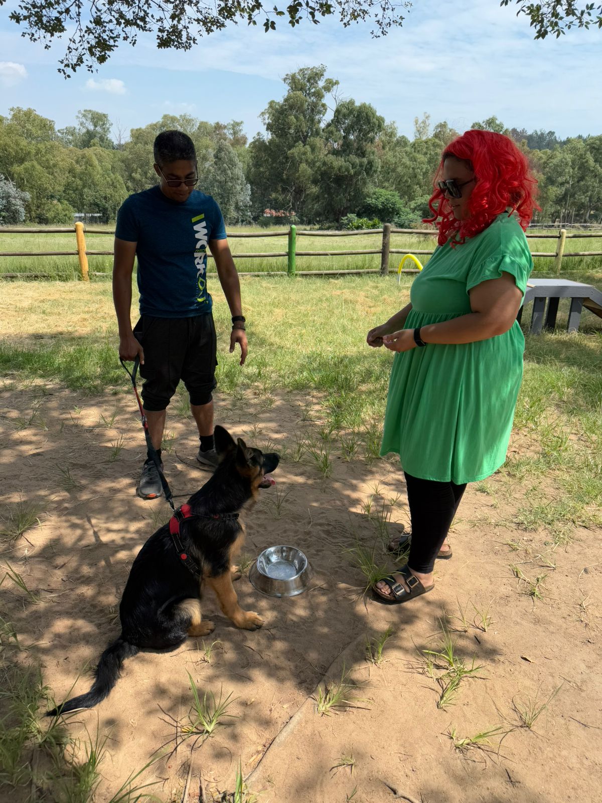 The Thinking Canine - Adult Dog & Puppy Training School | Classes in Johannesburg