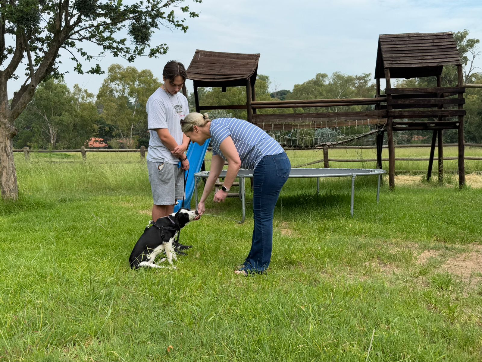 The Thinking Canine - Adult Dog & Puppy Training School | Classes in Johannesburg