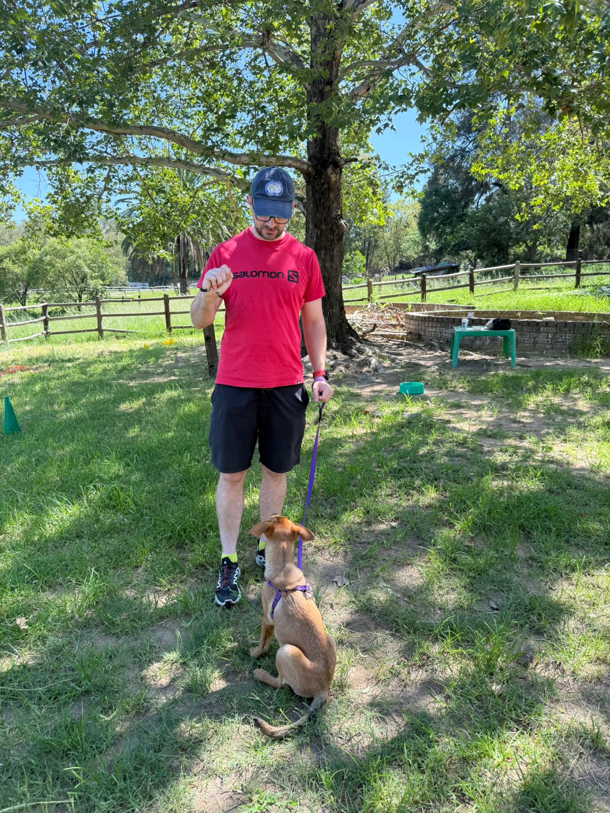 The Thinking Canine - Adult Dog & Puppy Training School | Classes in Johannesburg