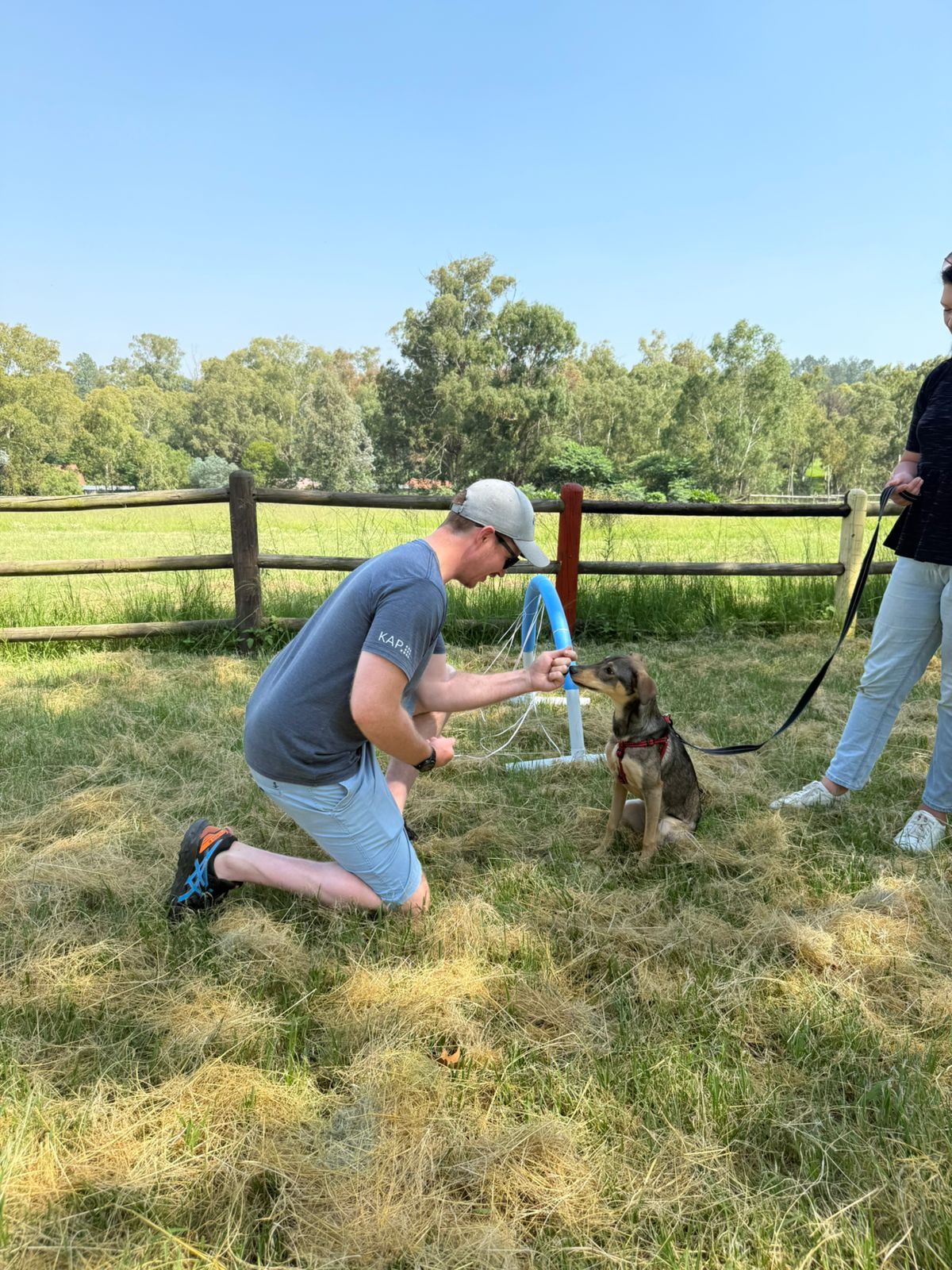 The Thinking Canine - Adult Dog & Puppy Training School | Classes in Johannesburg