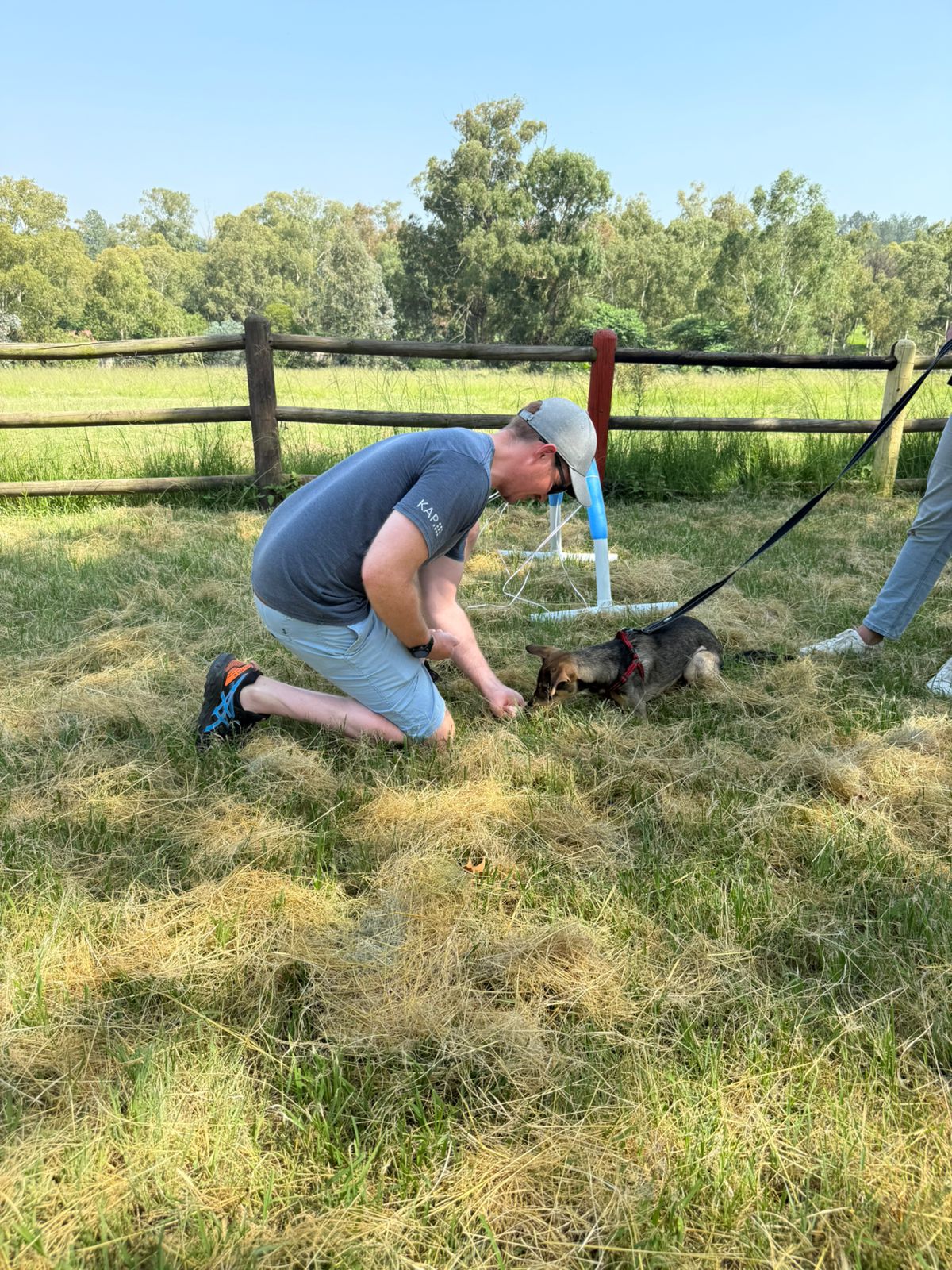 The Thinking Canine - Adult Dog & Puppy Training School | Classes in Johannesburg