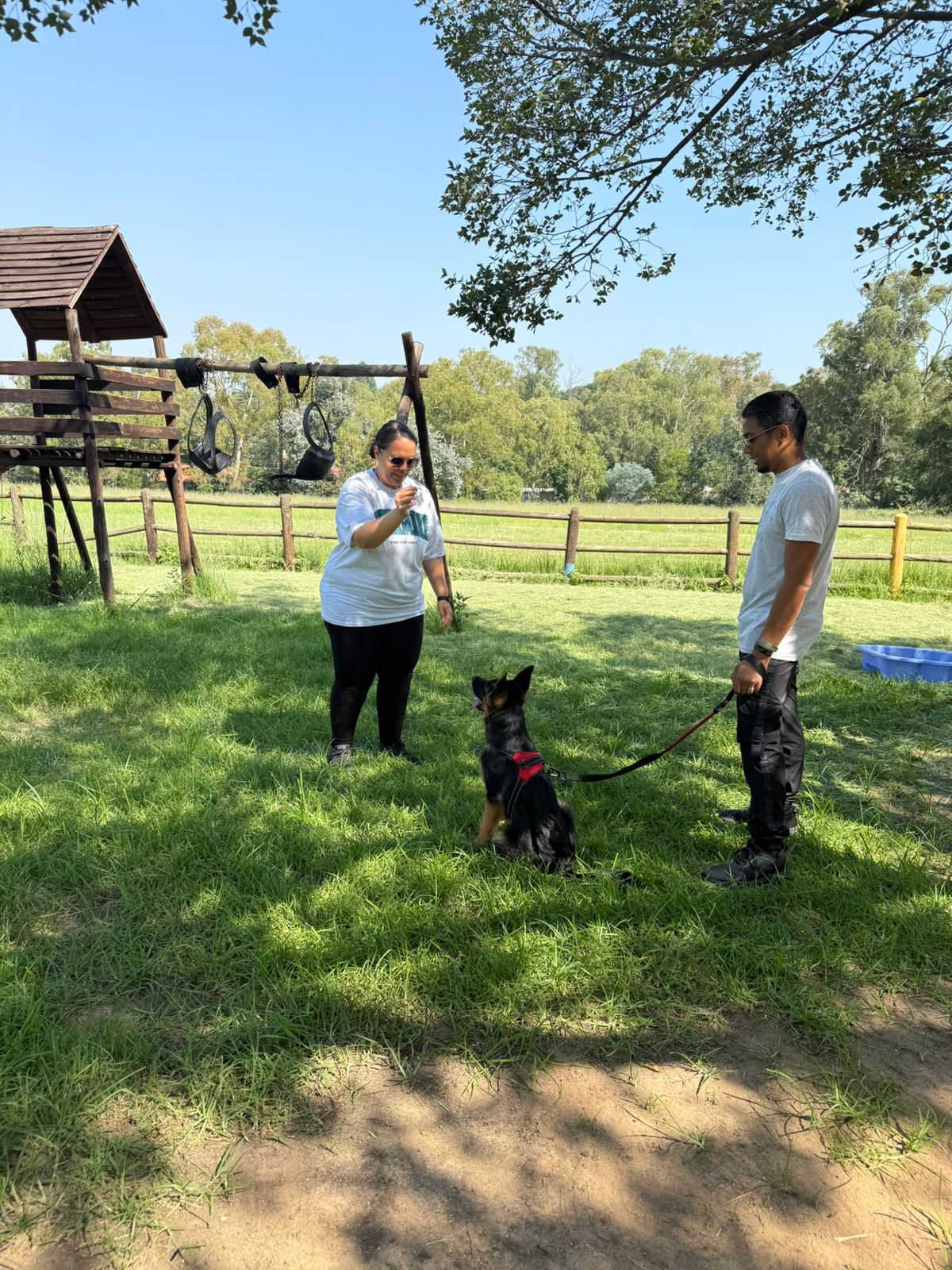 The Thinking Canine - Adult Dog & Puppy Training School | Classes in Johannesburg