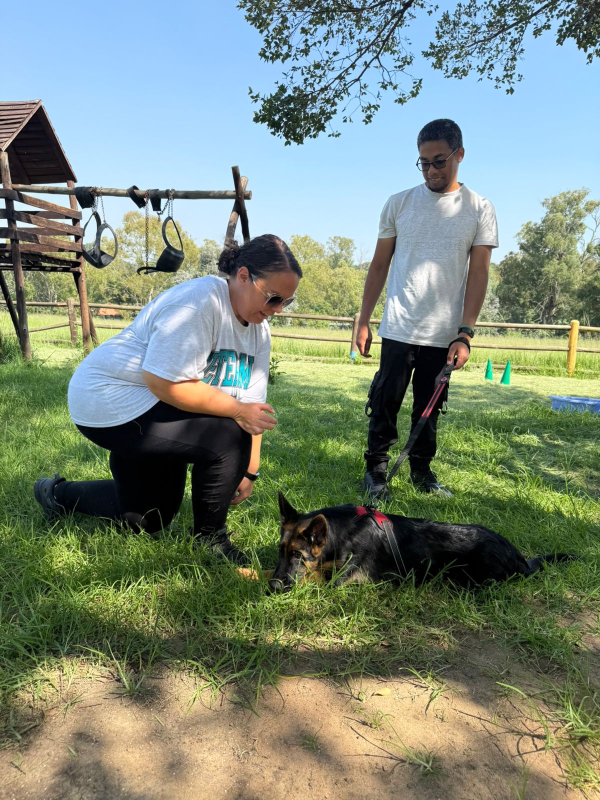 The Thinking Canine - Adult Dog & Puppy Training School | Classes in Johannesburg