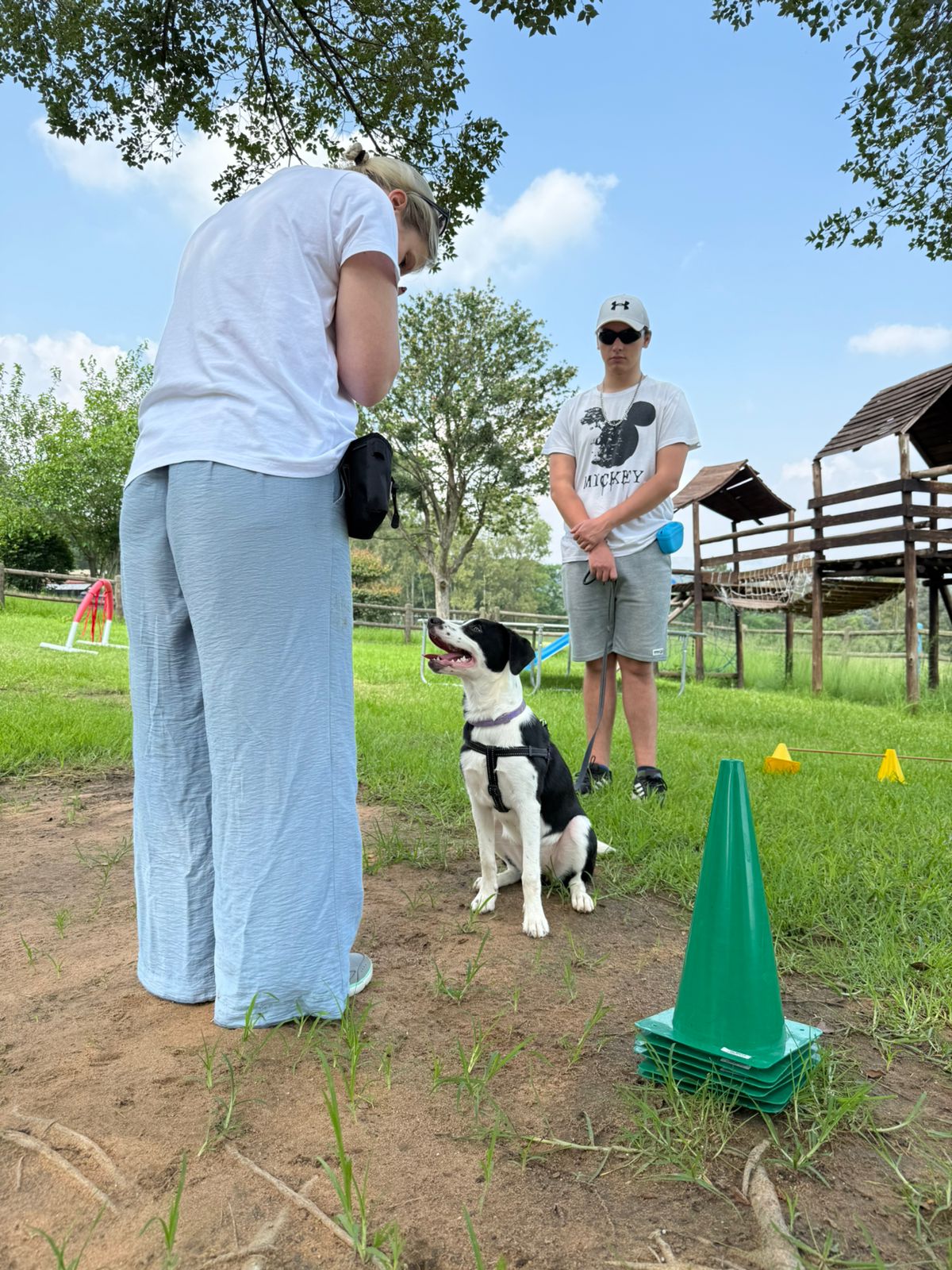 The Thinking Canine - Adult Dog & Puppy Training School | Classes in Johannesburg
